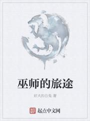 ��ʦ����;